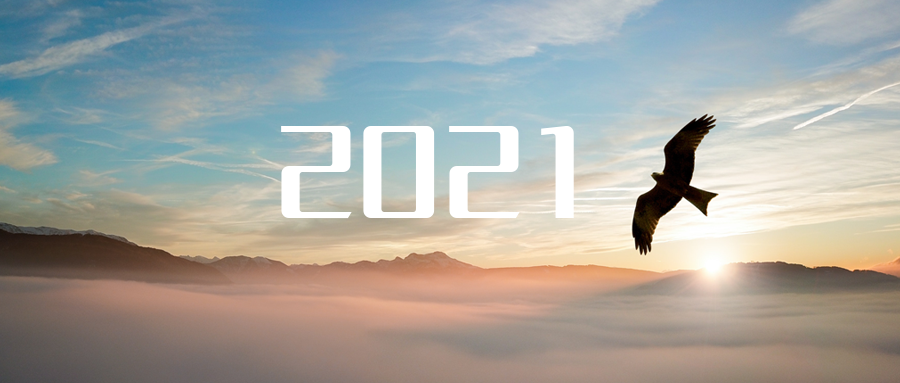 乘“峰”而上，智“盈”未来 ——2021年PA直营环境高级资深副总裁新年开工动员